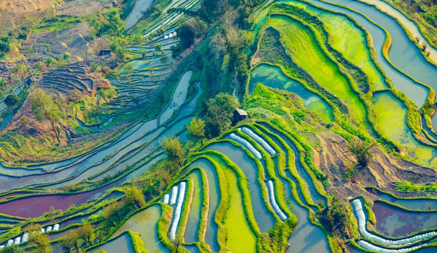 宝妈必备神器：福绵区产品视频拍摄轻松育儿好帮手